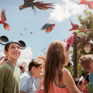 Vé Walt Disney World Resort ở Orlando, Florida